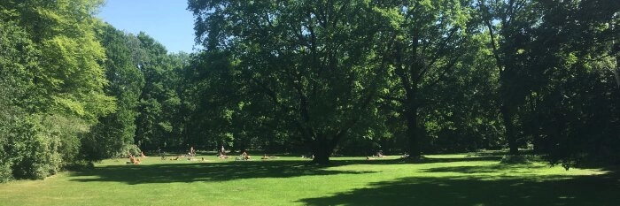 Tuntenwiese Berlin: Schwuler Treffpunkt im Tiergarten