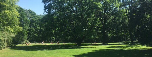 Tuntenwiese Tiergarten