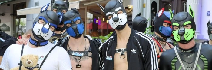 Folsom Europe Puppy-Bus - Sightseeing für Welpen & Hundeführer