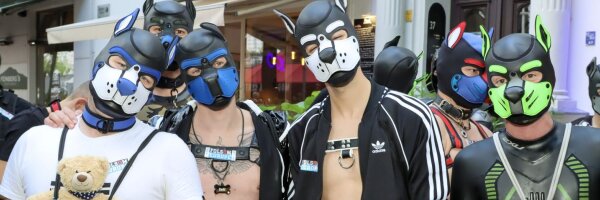 Folsom Europe Puppy-Bus
