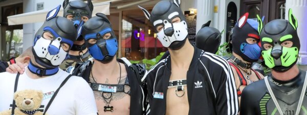 Folsom Europe Puppy-Bus
