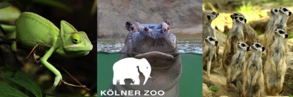 Cologne Zoo - Germany's third oldest zoo