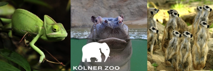 Kölner Zoo - Deutschlands drittältester Tierpark