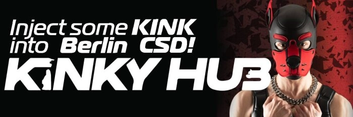 Kinky Hub