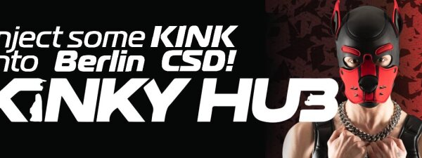 Kinky Hub