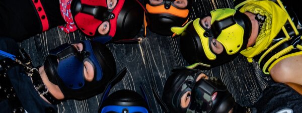 Puppy Play Szene in Köln