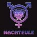 logo-Nachteule
