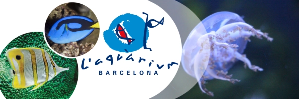 L\'Aquàrium Barcelona: the underwater world of the Mediterranean Sea