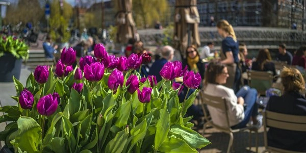 When to Amsterdam? Great Events and Highlights