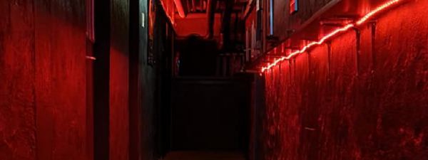 Puppy oder Sportswear