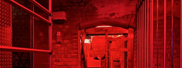 PetPlayParty Nürnberg