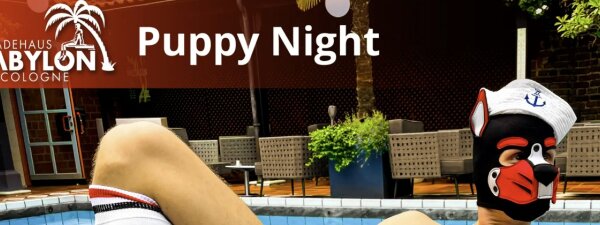 Puppy Night