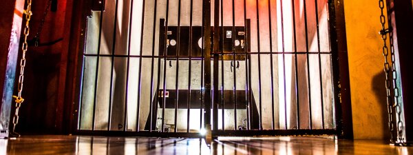 Wagging Tails – Puppy Night 