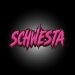 logo-Schwesta Party