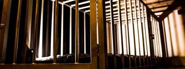 Wagging Tails – Puppy Night 