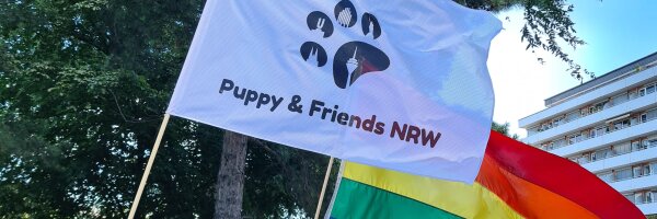 Paws & Friends