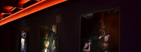 Bears, Otters & Friends