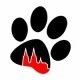 logo-Puppy Pride Cologne 2027