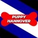 logo-Meet & Bark Hannover