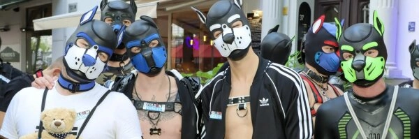 Folsom Europe Puppy Bus - Sightseeing for Puppies & Handlers
