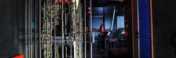 Bi-Sex-Party in Berlin für alle Geschlechter, alle Sexualitäten