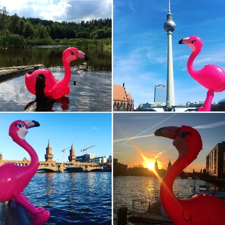 Travel with Pinky - Flamingo in Berlin